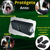 ⚡Electr0shock Con Linterna Autodefensa ⚡🔦 ENVIO GRATIS 🏡